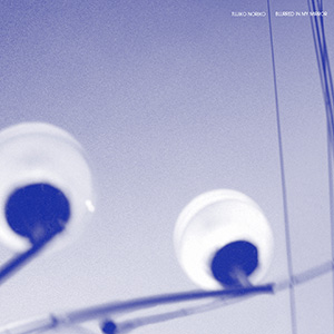 Blurred in My Mirror